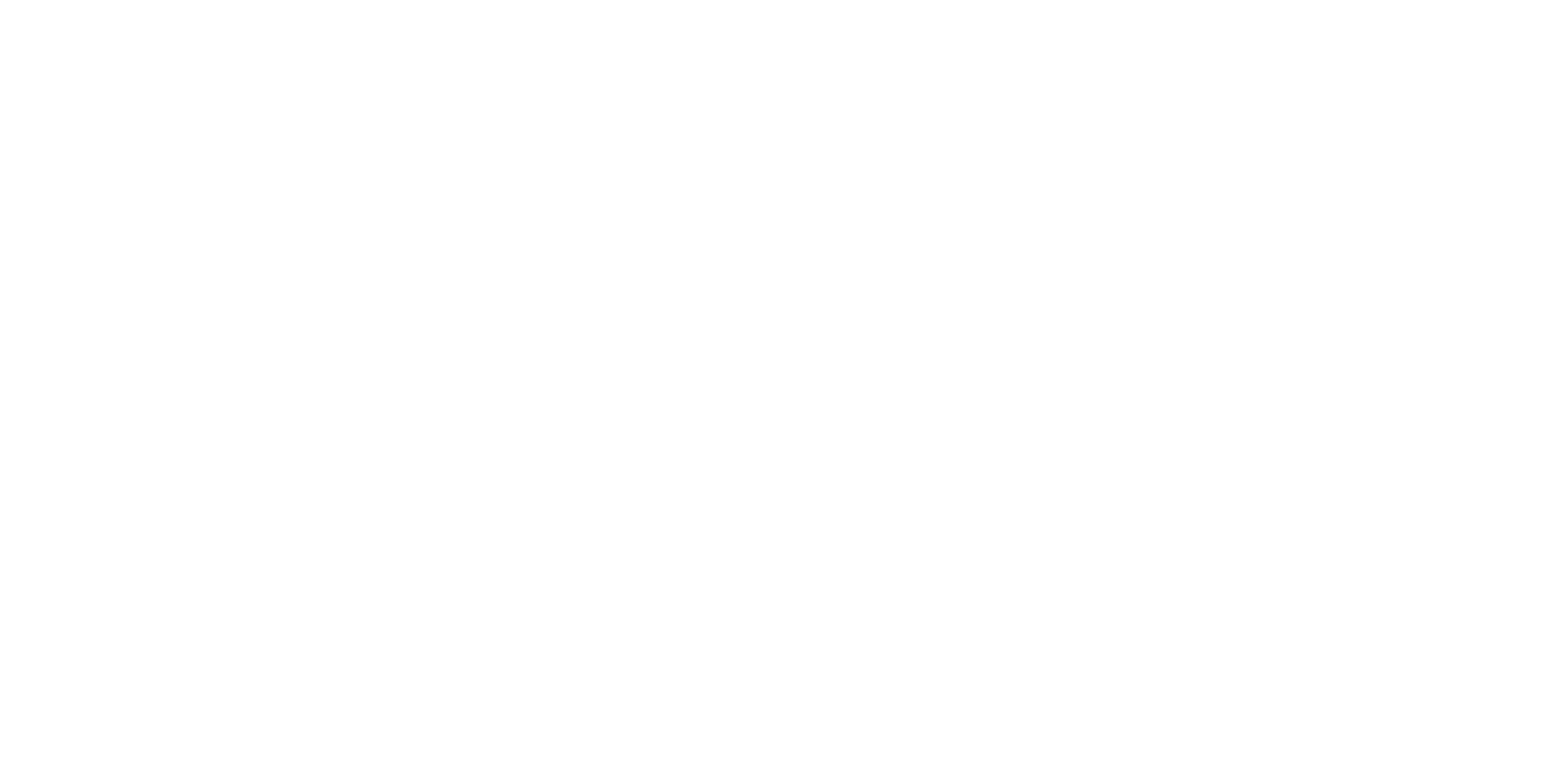 NSAS Travel,  Premier Company in The Travel and Tourism Industry.